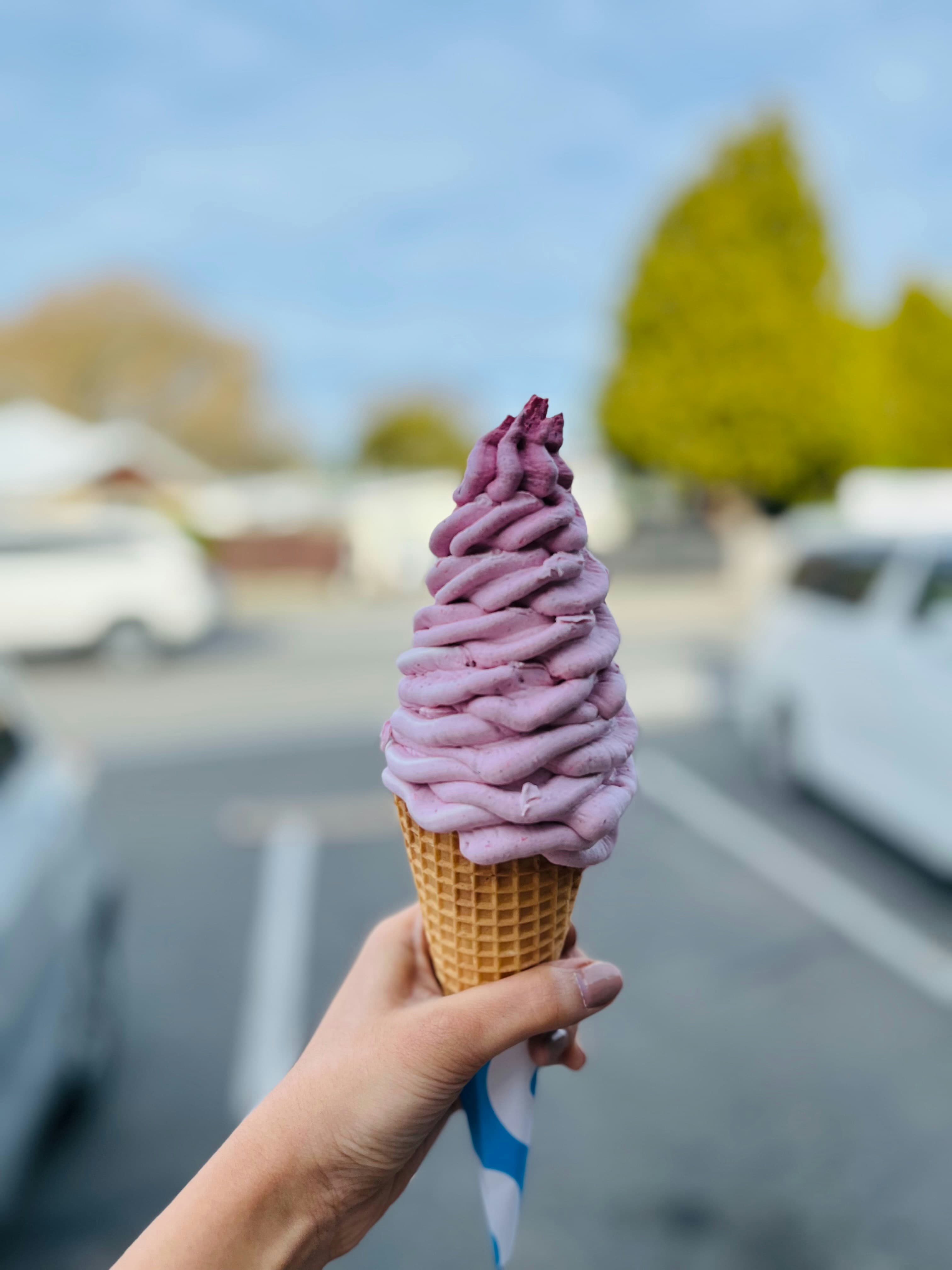 Blueberry Ice Cream